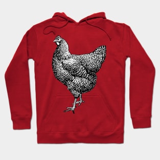 Vintage Barred Plymouth Rock Chicken Hen Hoodie